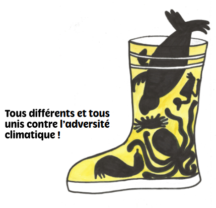 Les animaux rentrent dans la botte en vue radiographique, tous unis contre l'adversité climatique !